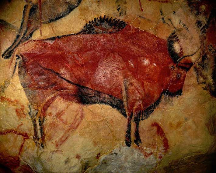 Bison grotte Altamira Espagne