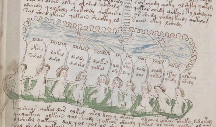 Le manuscrit de Voynich, bain public mode d'emploi