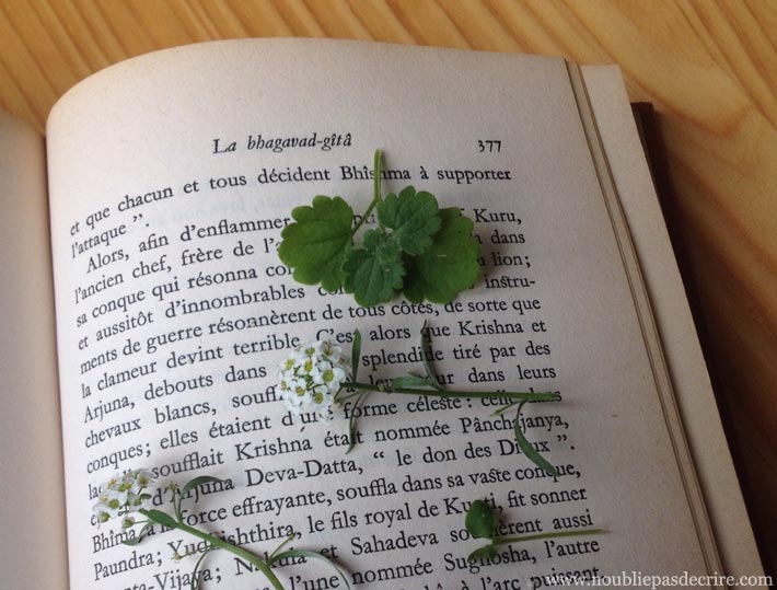 Papier à lettre - Flowers