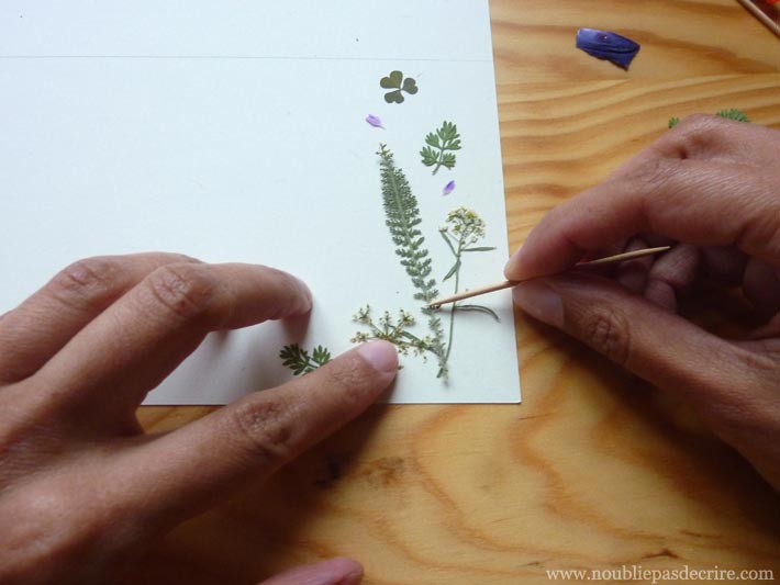 ]Tuto papier à lettre disposer ses fleurs 