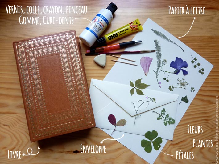 Tuto papier à lettre plantes séchées