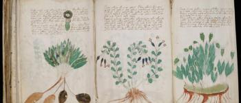 Le manuscrit de Voynich, un véritable casse-tête